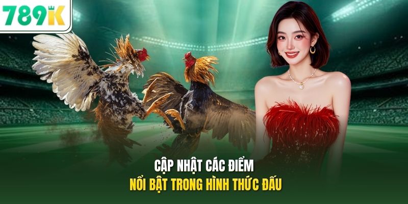 Cập nhật các điểm nổi bật trong hình thức đấu